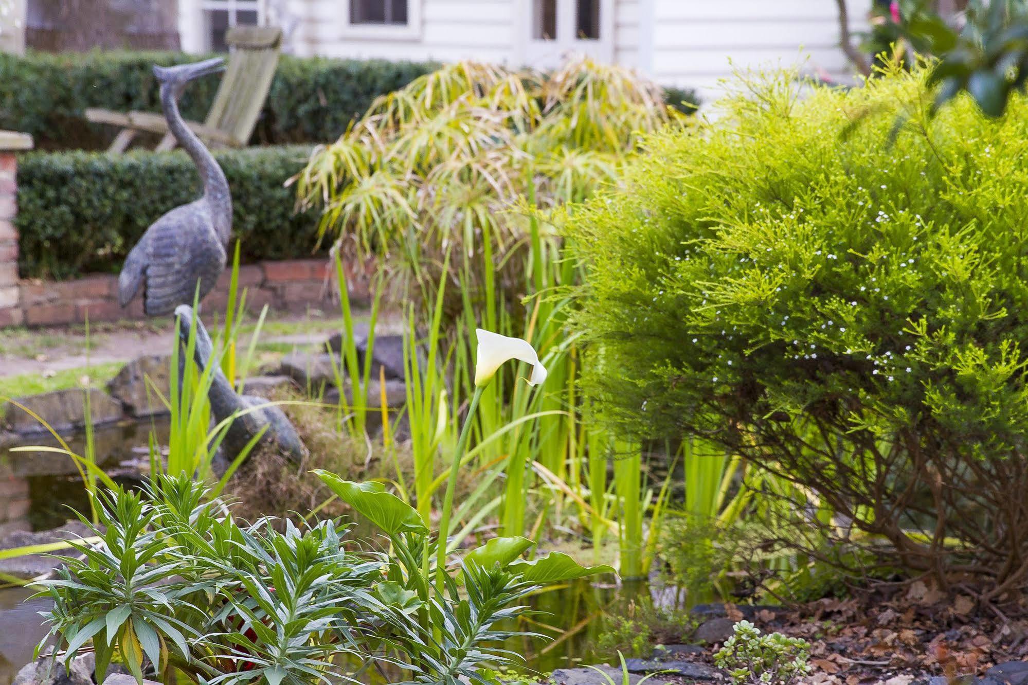 Glen Isla House Bed & Breakfast Phillip Island Cowes Esterno foto